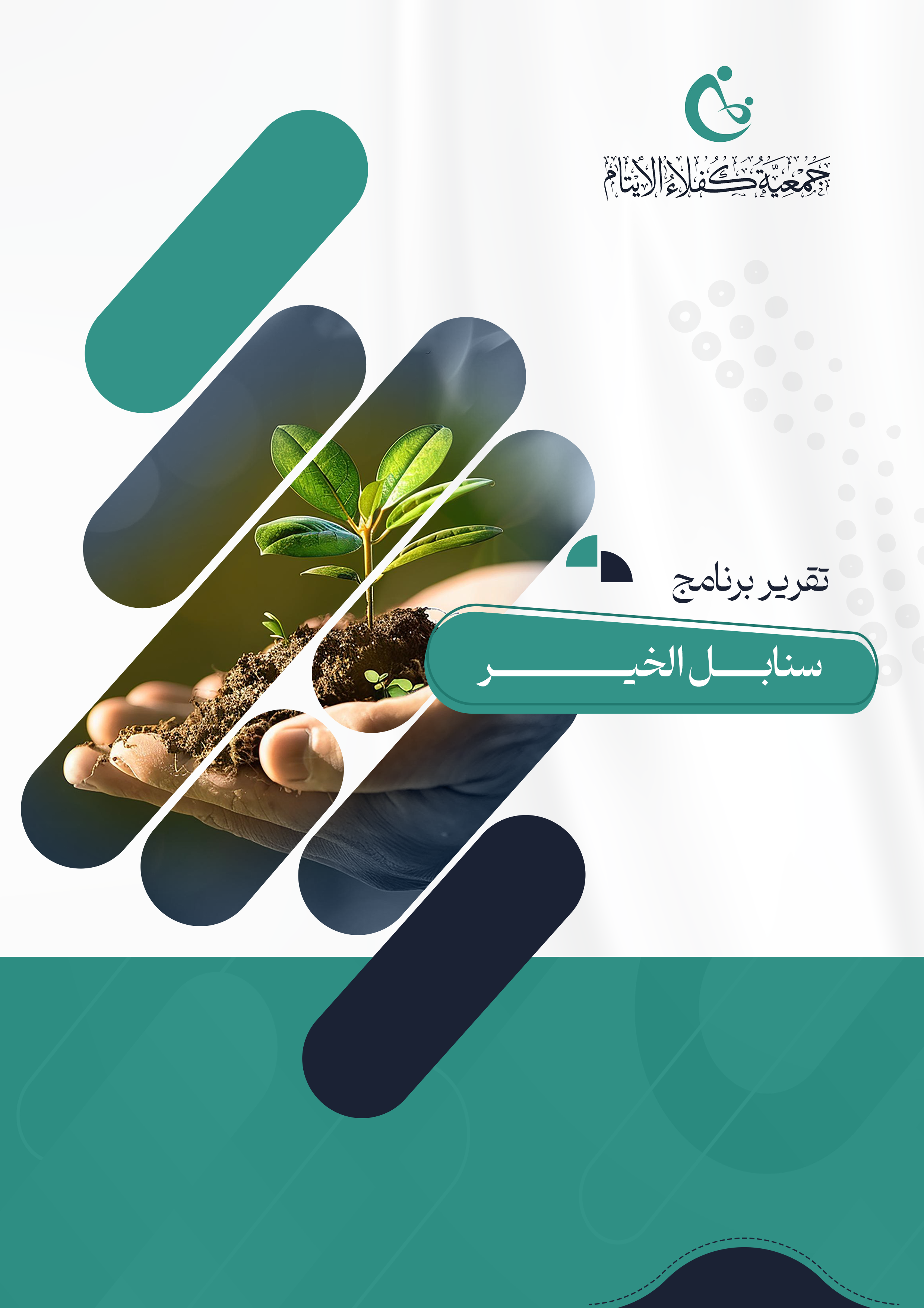 تقرير البرنامج